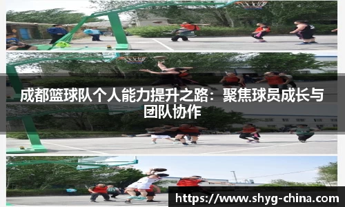 BB贝博登录入口