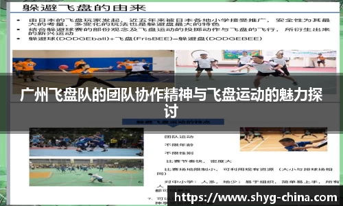 BB贝博登录入口