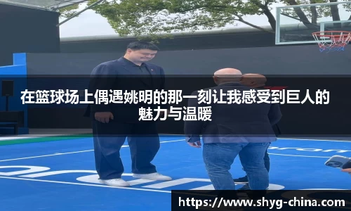 BB贝博登录入口