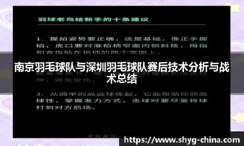 南京羽毛球队与深圳羽毛球队赛后技术分析与战术总结