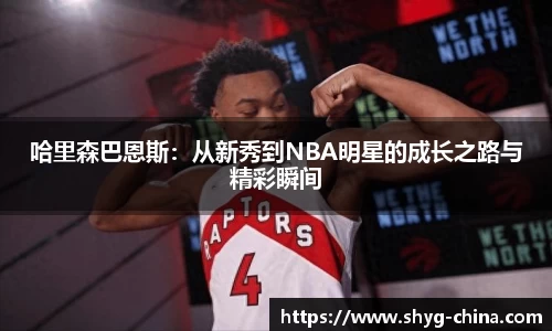 BB贝博登录入口