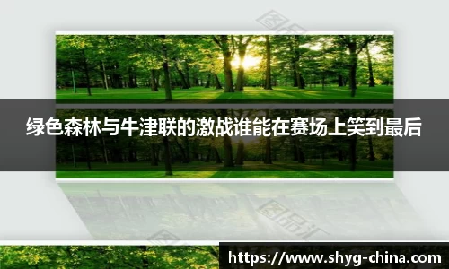 BB贝博登录入口