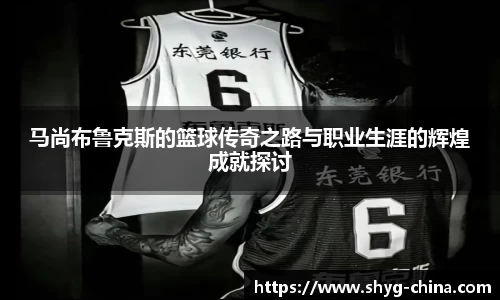BB贝博登录入口
